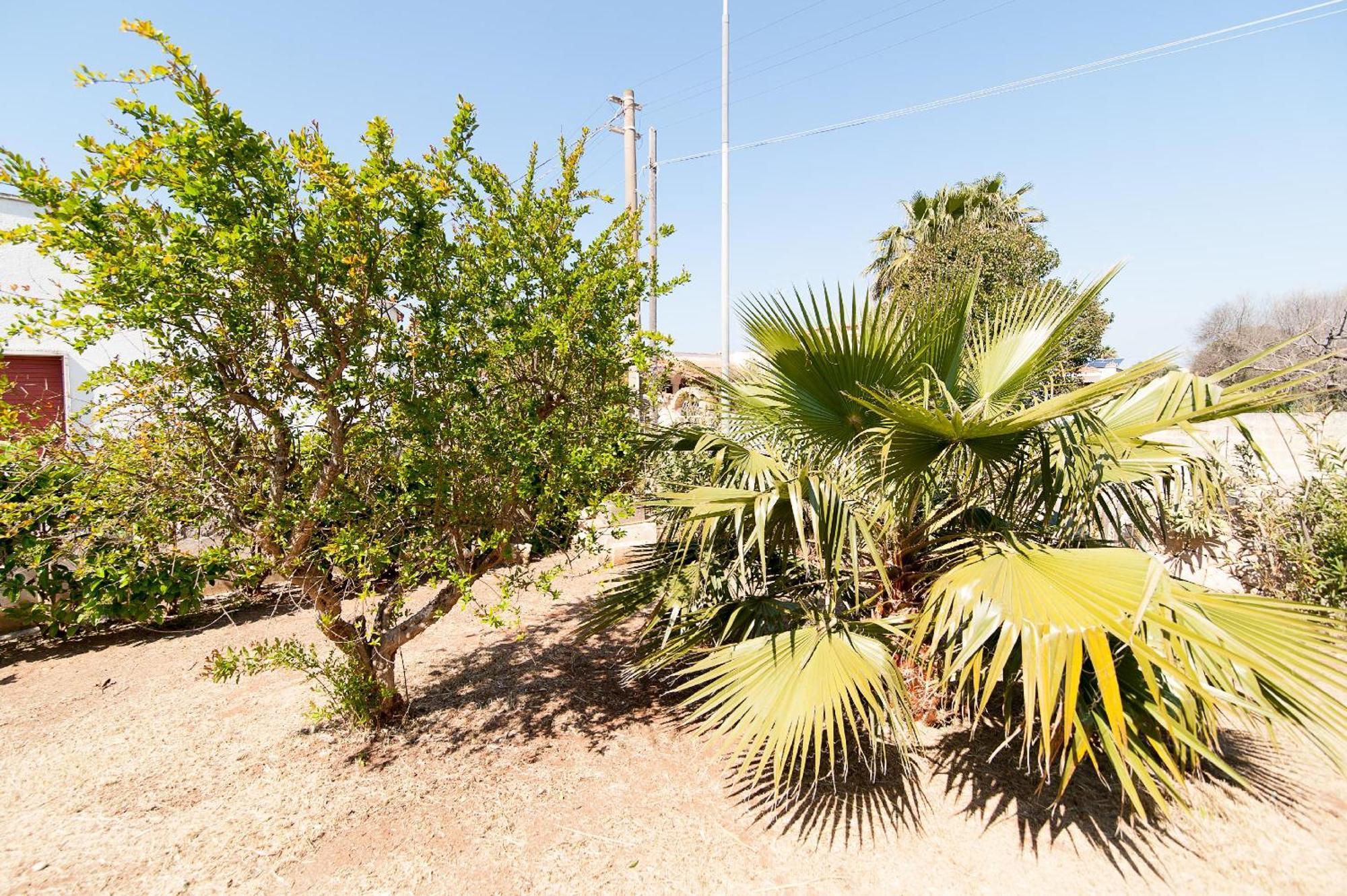 Villa Rose Marina di Mancaversa Exterior photo